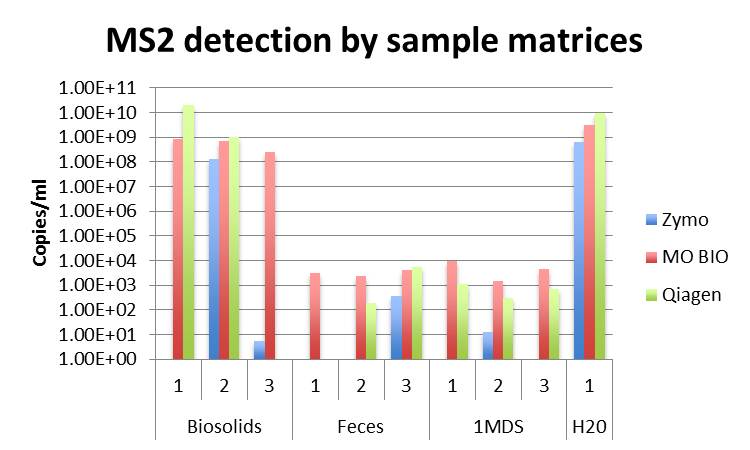 MS2 detection by sample matrices